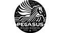 Pegasus
