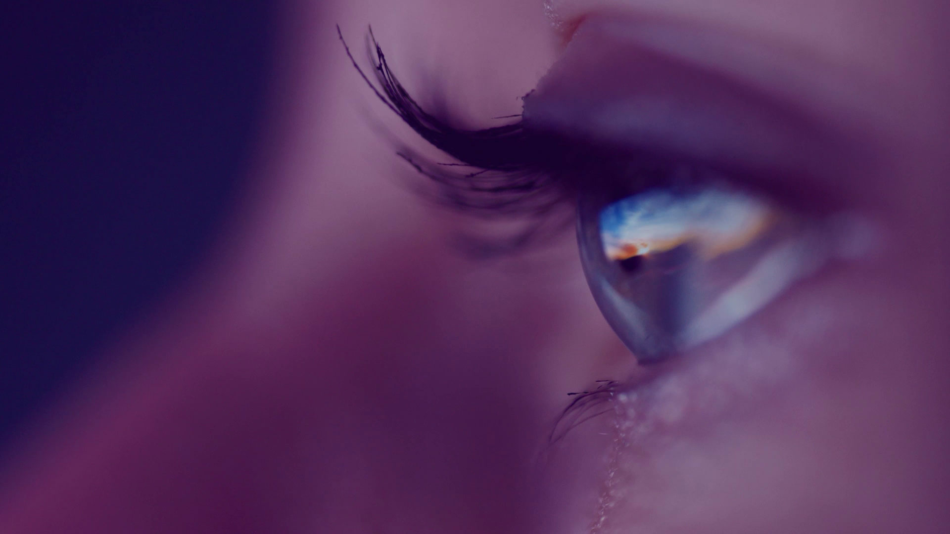Avanci header